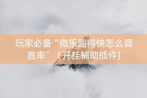 玩家必备“微乐跑得快怎么调胜率”（开挂辅助插件)