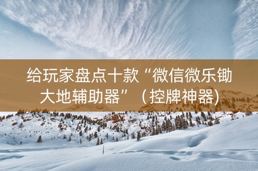给玩家盘点十款“微信微乐锄大地辅助器”（控牌神器)