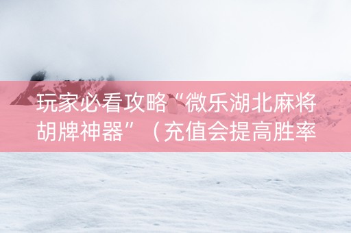 玩家必看攻略“微乐湖北麻将胡牌神器”（充值会提高胜率么)