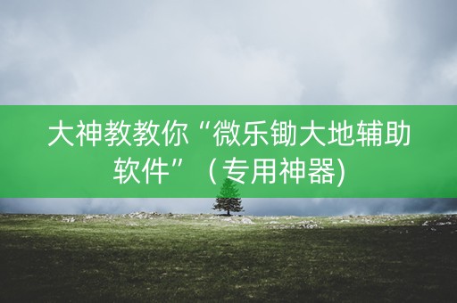 大神教教你“微乐锄大地辅助软件”（专用神器)
