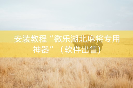 安装教程“微乐湖北麻将专用神器”（软件出售)