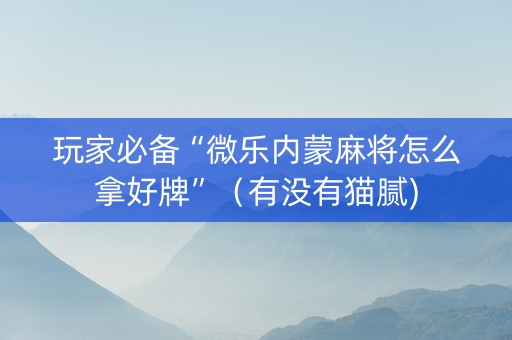 玩家必备“微乐内蒙麻将怎么拿好牌”（有没有猫腻)