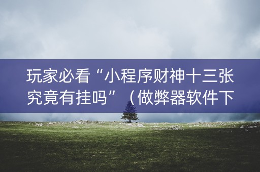 玩家必看“小程序财神十三张究竟有挂吗”（做弊器软件下载)