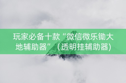 玩家必备十款“微信微乐锄大地辅助器”（透明挂辅助器)