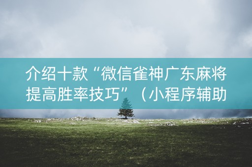 介绍十款“微信雀神广东麻将提高胜率技巧”（小程序辅助软件)