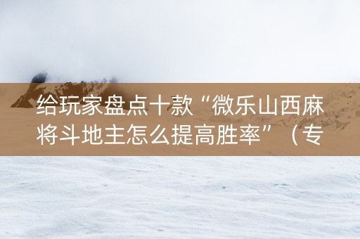 给玩家盘点十款“微乐山西麻将斗地主怎么提高胜率”（专用神器)