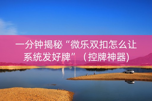 一分钟揭秘“微乐双扣怎么让系统发好牌”（控牌神器)