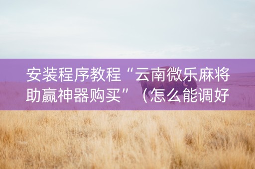 安装程序教程“云南微乐麻将助赢神器购买”（怎么能调好牌)
