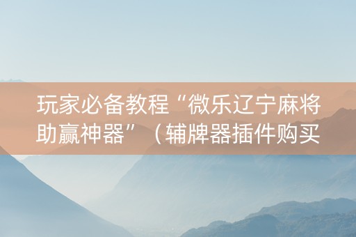 玩家必备教程“微乐辽宁麻将助赢神器”（辅牌器插件购买)