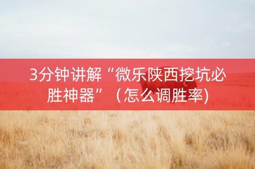 3分钟讲解“微乐陕西挖坑必胜神器”（怎么调胜率)