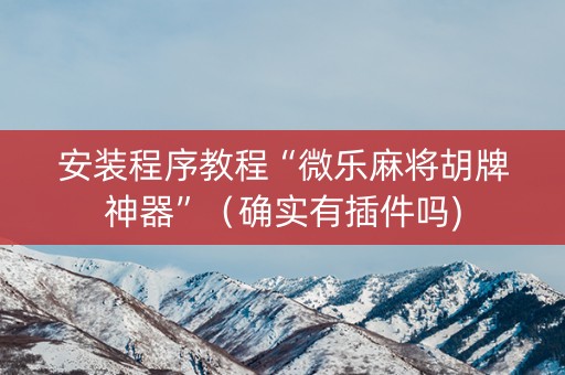 安装程序教程“微乐麻将胡牌神器”（确实有插件吗)