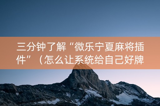 三分钟了解“微乐宁夏麻将插件”（怎么让系统给自己好牌)