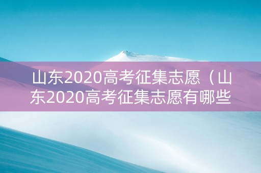 山东2020高考征集志愿（山东2020高考征集志愿有哪些学校）