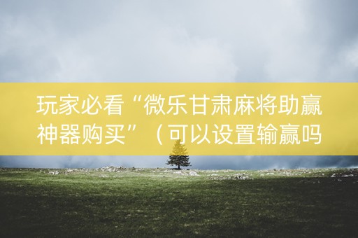 玩家必看“微乐甘肃麻将助赢神器购买”（可以设置输赢吗)