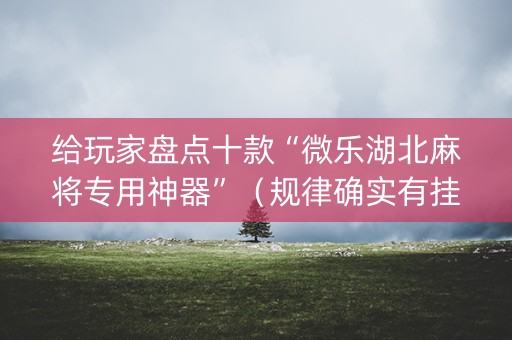 给玩家盘点十款“微乐湖北麻将专用神器”（规律确实有挂)