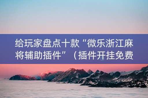 给玩家盘点十款“微乐浙江麻将辅助插件”（插件开挂免费AI)