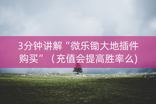 3分钟讲解“微乐锄大地插件购买”（充值会提高胜率么)