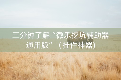 三分钟了解“微乐挖坑辅助器通用版”（挂件神器)