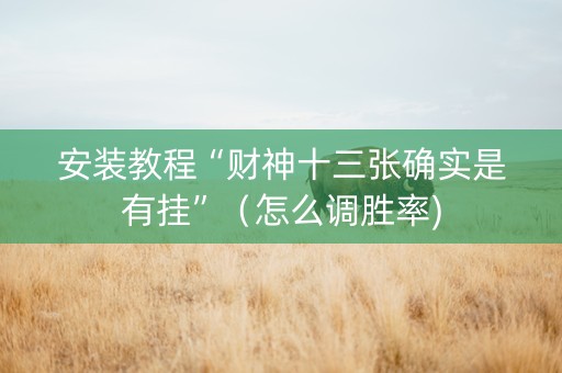 安装教程“财神十三张确实是有挂”（怎么调胜率)