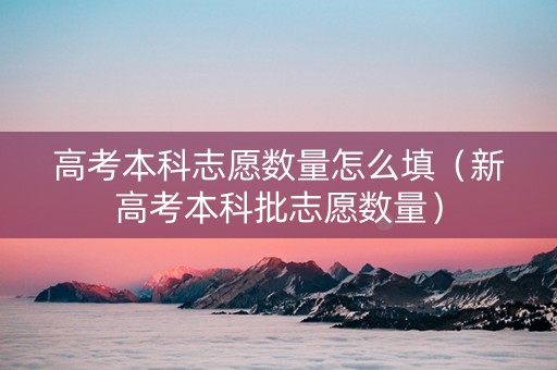 高考本科志愿数量怎么填（新高考本科批志愿数量）