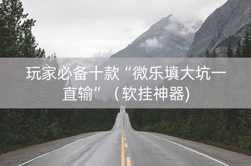 玩家必备十款“微乐填大坑一直输”（软挂神器)