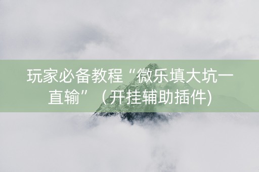 玩家必备教程“微乐填大坑一直输”（开挂辅助插件)