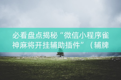 必看盘点揭秘“微信小程序雀神麻将开挂辅助插件”（辅牌器插件购买)