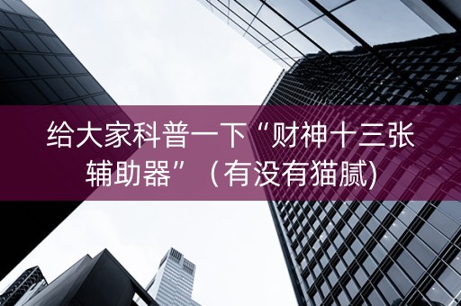 给大家科普一下“财神十三张辅助器”（有没有猫腻)