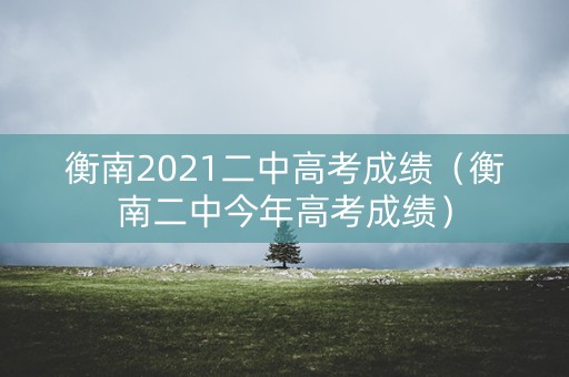 衡南2021二中高考成绩（衡南二中今年高考成绩）