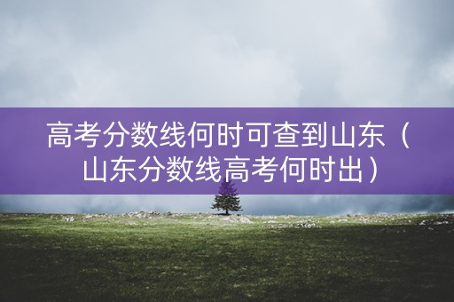 高考分数线何时可查到山东（山东分数线高考何时出）