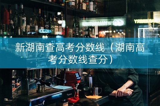 新湖南查高考分数线（湖南高考分数线查分）