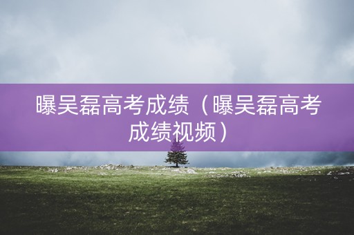 曝吴磊高考成绩（曝吴磊高考成绩视频）