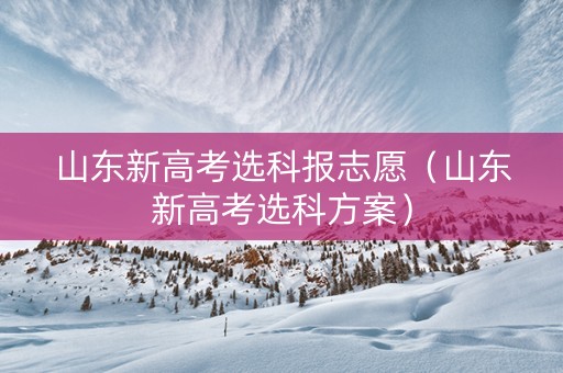 山东新高考选科报志愿（山东新高考选科方案）