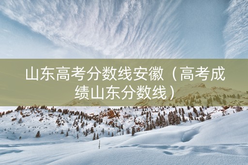 山东高考分数线安徽（高考成绩山东分数线）