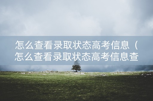 怎么查看录取状态高考信息（怎么查看录取状态高考信息查询）