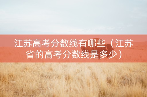 江苏高考分数线有哪些（江苏省的高考分数线是多少）