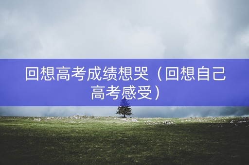 回想高考成绩想哭（回想自己高考感受）