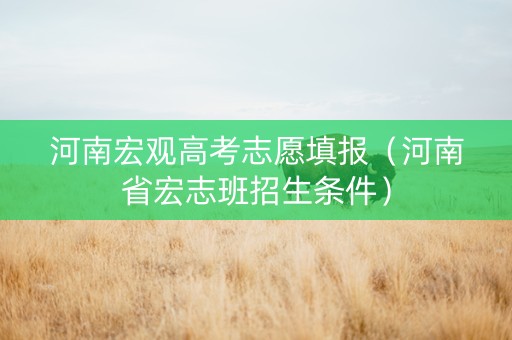 河南宏观高考志愿填报（河南省宏志班招生条件）