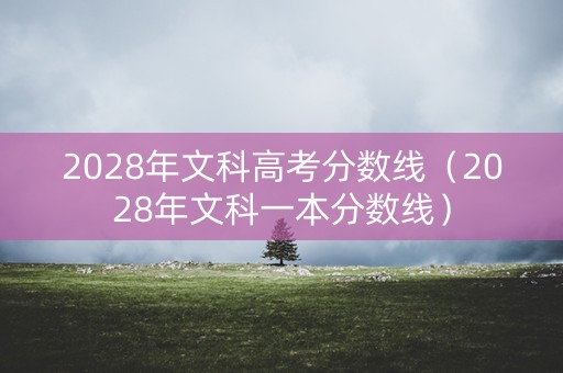 2028年文科高考分数线（2028年文科一本分数线）