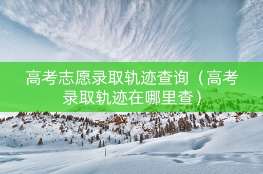 高考志愿录取轨迹查询（高考录取轨迹在哪里查）
