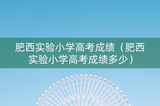 肥西实验小学高考成绩（肥西实验小学高考成绩多少）