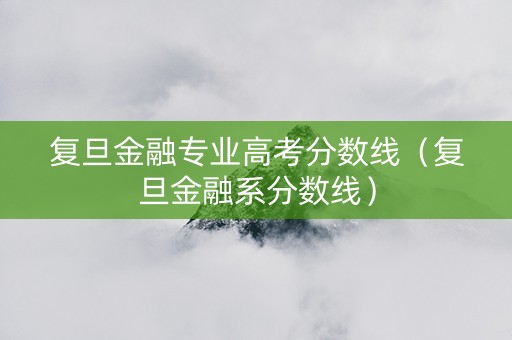复旦金融专业高考分数线（复旦金融系分数线）