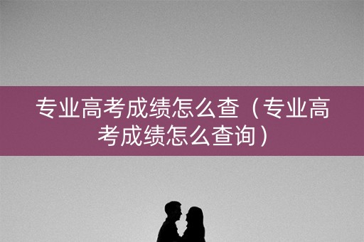 专业高考成绩怎么查（专业高考成绩怎么查询）