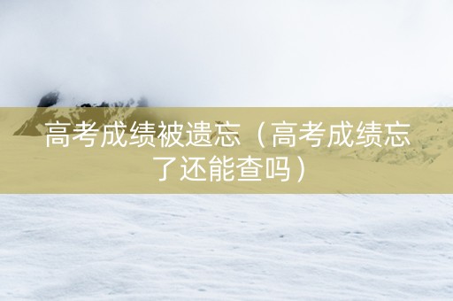 高考成绩被遗忘（高考成绩忘了还能查吗）