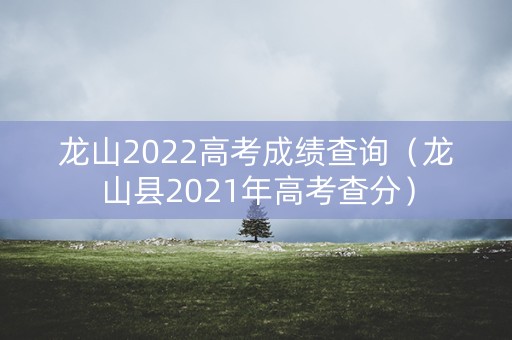 龙山2022高考成绩查询（龙山县2021年高考查分）