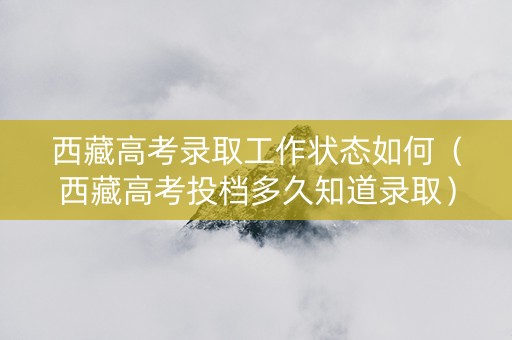 西藏高考录取工作状态如何（西藏高考投档多久知道录取）