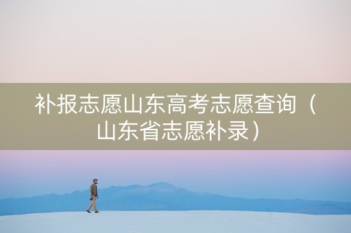 补报志愿山东高考志愿查询（山东省志愿补录）