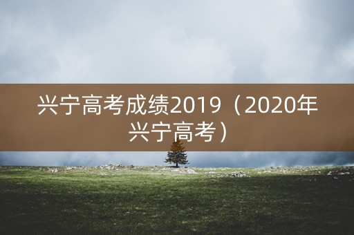 兴宁高考成绩2019（2020年兴宁高考）