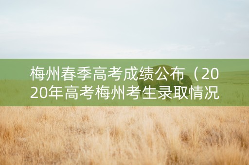 梅州春季高考成绩公布（2020年高考梅州考生录取情况）