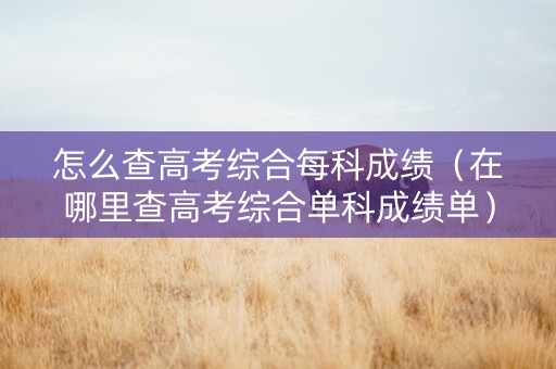 怎么查高考综合每科成绩（在哪里查高考综合单科成绩单）